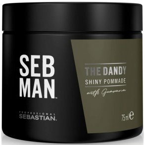 Sebastian SEB MAN The Dandy Pomade 75ml